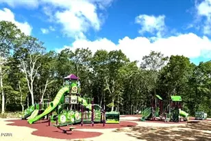 115 Canyon Dr, Lords Valley, PA 18428 - Photo 87