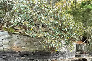 122 Waterfront Dr, Greentown, PA 18426 - Photo 41