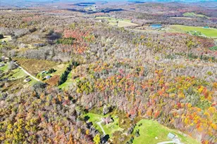 223 Rainbow Rd, Lakewood, PA 18439 - Photo 61