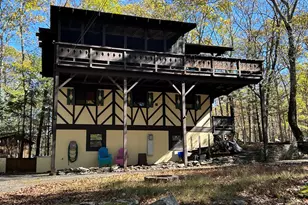 101 Bear Trap Mountain Rd, Greentown, PA 18426 - Photo 53