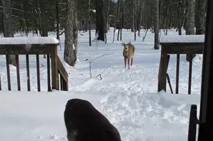 116 Locust Dr, Milford, PA 18337 - Photo 35