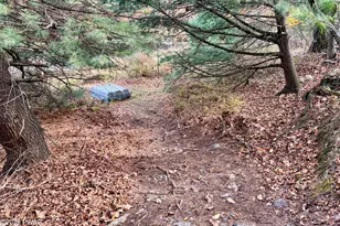 164 Oakridge Dr, Dingmans Ferry, PA 18328 - Photo 29