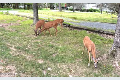 7 Sunrise Trail, Hawley, PA 18428 - Photo 49