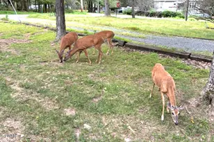 7 Sunrise Trail, Hawley, PA 18428 - Photo 49