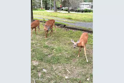 7 Sunrise Trail, Hawley, PA 18428 - Photo 51