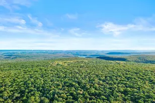 21 Piute Trail, Albrightsville, PA 18210 - Photo 43