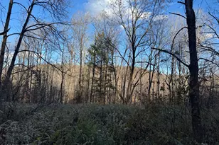 649 Creek Dr, Prompton, PA 18456 - Photo 9