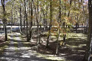 102 Granite Dr, Lords Valley, PA 18428 - Photo 25