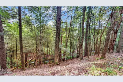 160 Mountain Springs Road, Milford, PA 18337 - Photo 45