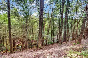 160 Mountain Springs Rd, Milford, PA 18337 - Photo 45