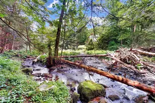 160 Mountain Springs Rd, Milford, PA 18337 - Photo 47