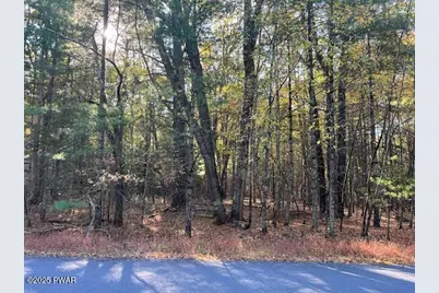 Lot 40 Lake Forest Drive, Dingmans Ferry, PA 18328 - Photo 1