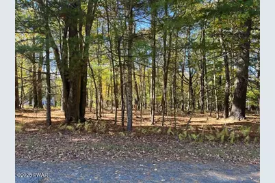 Lot 226 Hound Road, Dingmans Ferry, PA 18328 - Photo 3