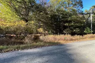 Lot 247 Squirrel Rd, Dingmans Ferry, PA 18328 - Photo 1