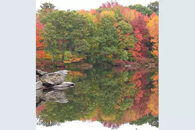 328 Forest Drive, Lords Valley, PA 18428 - Photo 99