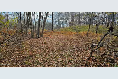 101 Delaware Drive, Damascus, PA 18415 - Photo 5
