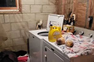 389 Little Walker Rd, Shohola, PA 18458 - Photo 17