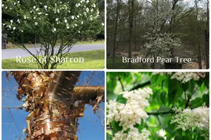 109 Buck Run Dr, Milford, PA 18337 - Photo 15