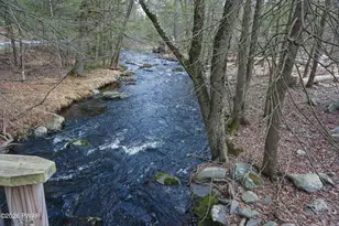 110 Brookside Dr, Dingmans Ferry, PA 18328 - Photo 37