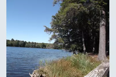 50 Forest Road, Poyntelle, PA 18454 - Photo 3