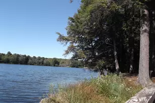 50 Forest Rd, Poyntelle, PA 18454 - Photo 3