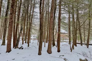 205 Christopher Way, Hawley, PA 18428 - Photo 5