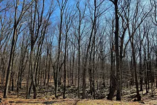 113 Spruce Ct, Hawley, PA 18428 - Photo 25