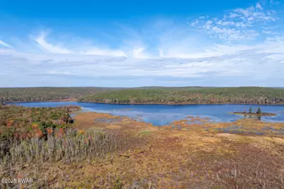 390 Springbrook Road, Shohola, PA 18458 - Photo 65