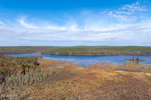 390 Springbrook Rd, Shohola, PA 18458 - Photo 65