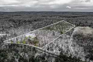 35 Perkins Pond Rd, Beach Lake, PA 18405 - Photo 55