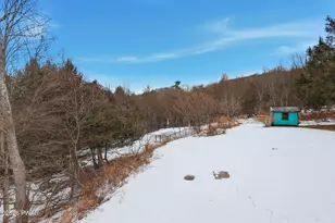 108 Boyds Mills Rd, Beach Lake, PA 18405 - Photo 43
