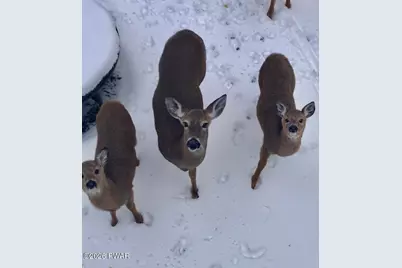 176 Gunstock Lane, Tafton, PA 18464 - Photo 31