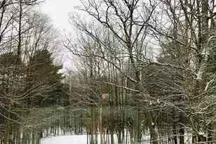 176 Gunstock Ln, Tafton, PA 18464 - Photo 55