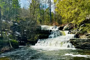 216 Westfall Dr, Dingmans Ferry, PA 18328 - Photo 33