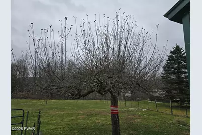 870 Pratt Hollow Road, Nicholson, PA 18446 - Photo 5