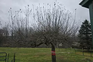 870 Pratt Hollow Rd, Nicholson, PA 18446 - Photo 5