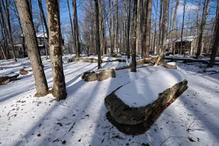 10 Chip Ct, Lake Ariel, PA 18436 - Photo 49