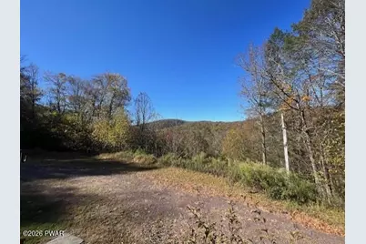 166 Lordville Road, Equinunk, PA 18417 - Photo 3