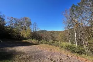 166 Lordville Rd, Equinunk, PA 18417 - Photo 3