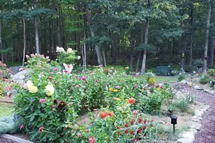 1415 Dewberry Dr, Hawley, PA 18428 - Photo 63