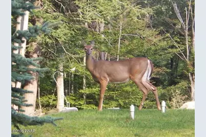 103 Oakwood Drive, Greentown, PA 18426 - Photo 19