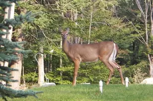 103 Oak Wood Dr, Greentown, PA 18426 - Photo 19