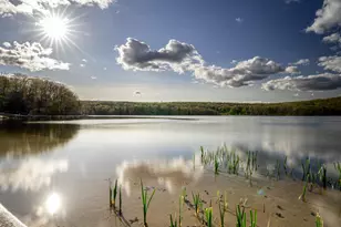 128 Tanager Rd, Lackawaxen, PA 18435 - Photo 51