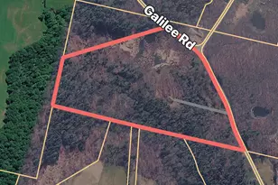 673 Galilee Rd, Damascus, PA 18415 - Photo 33