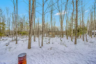 37 Parkwood Drive, Lakeville, PA 18436 - Photo 35