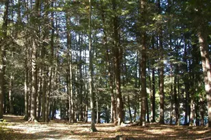 108 Marina Wy, Greentown, PA 18426 - Photo 23