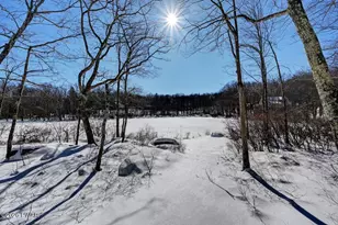 108 Mountain View Dr, Lords Valley, PA 18428 - Photo 89