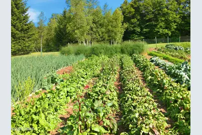 187 Arnolds Road, Equinunk, PA 18417 - Photo 97