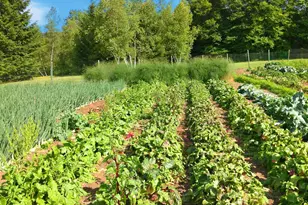 187 Arnolds Rd, Equinunk, PA 18417 - Photo 97