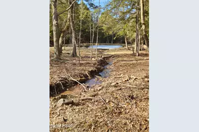 187 Arnolds Road, Equinunk, PA 18417 - Photo 105